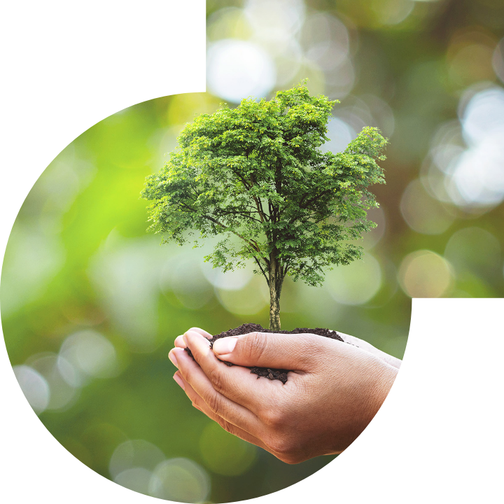 关怀人类、文化、环境与社会